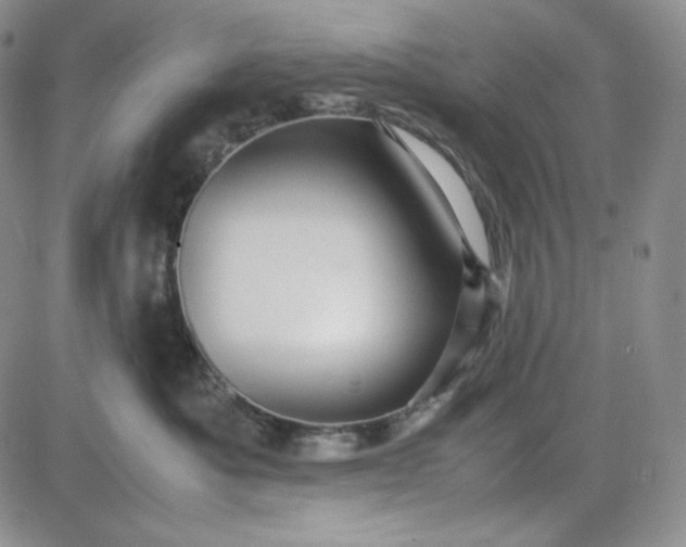 X0000083620525200702260956