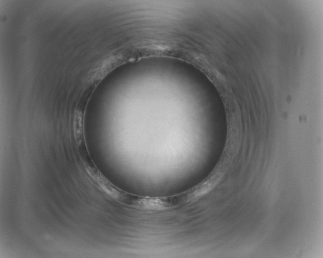 X0000083620528200702260956