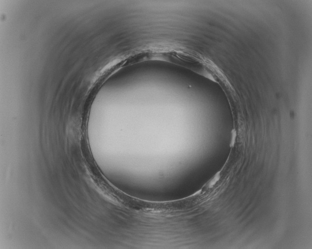 X0000083620530200702260956