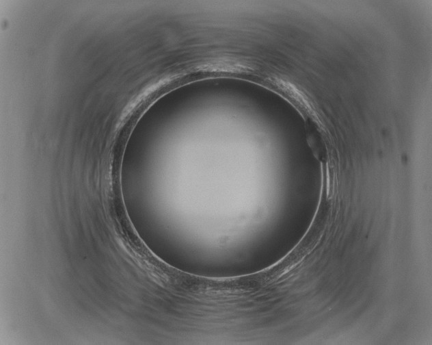 X0000083620531200702260956