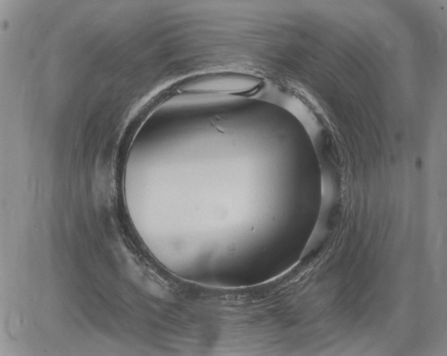 X0000083620532200702260956