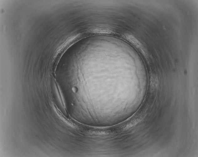 X0000083620533200702260956