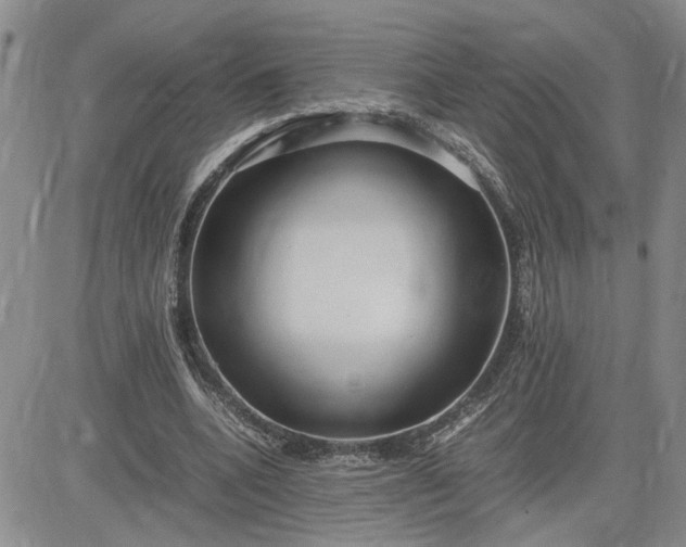 X0000083620536200702260956