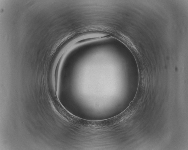 X0000083620538200702260956