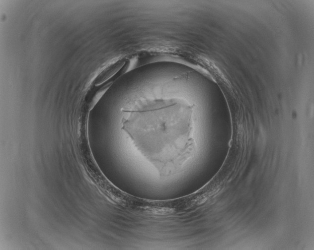 X0000083620539200702260956