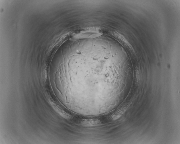 X0000083620541200702260956