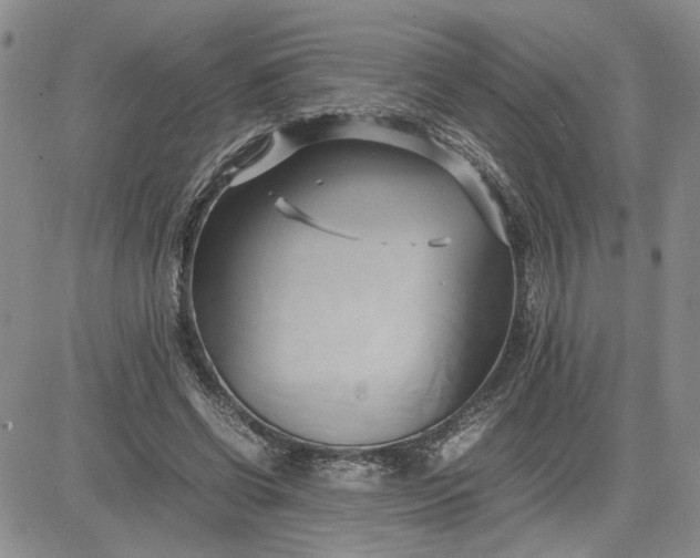 X0000083620542200702260956