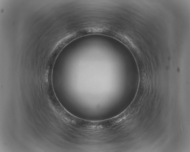 X0000083620543200702260956