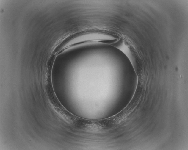 X0000083620544200702260956