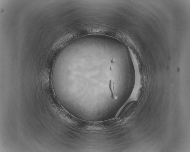 X0000083620545200702260956