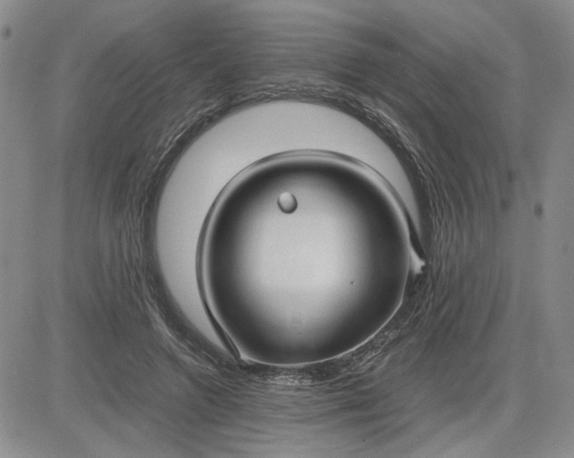 X0000083620546200702260956