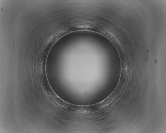 X0000083620547200702260956