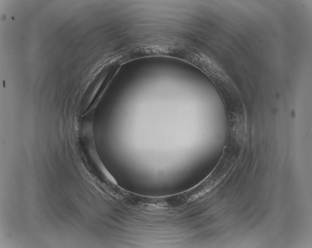 X0000083620548200702260956