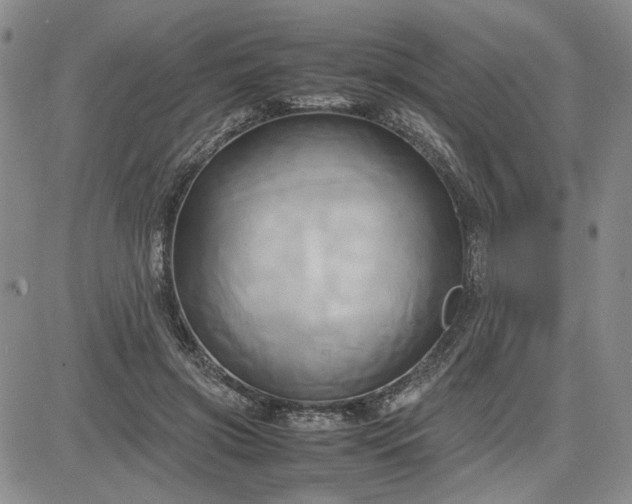 X0000083620549200702260956