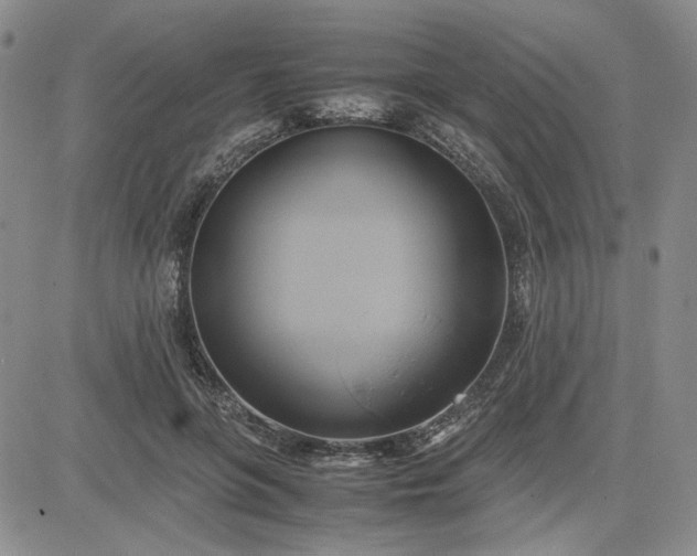 X0000083620551200702260956