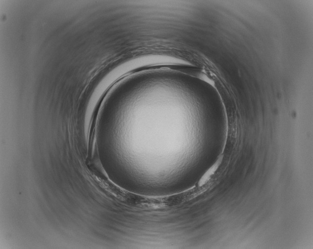 X0000083620552200702260956