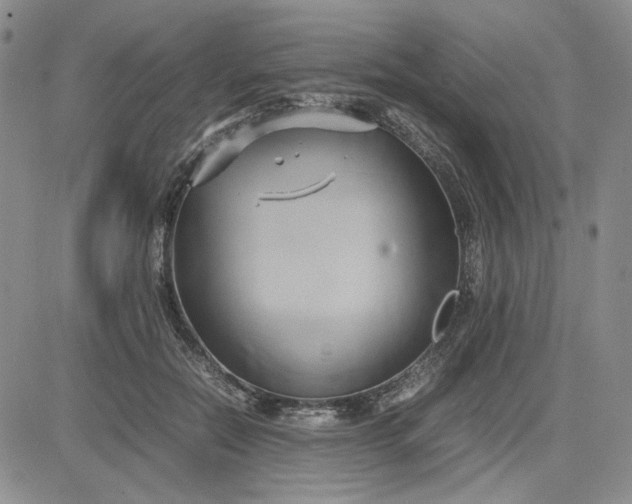 X0000083620554200702260956