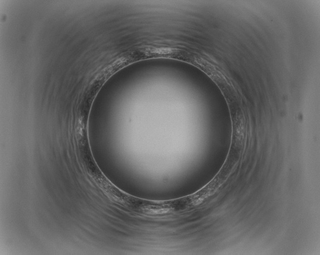 X0000083620555200702260956