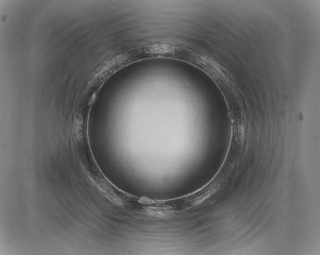 X0000083620556200702260956