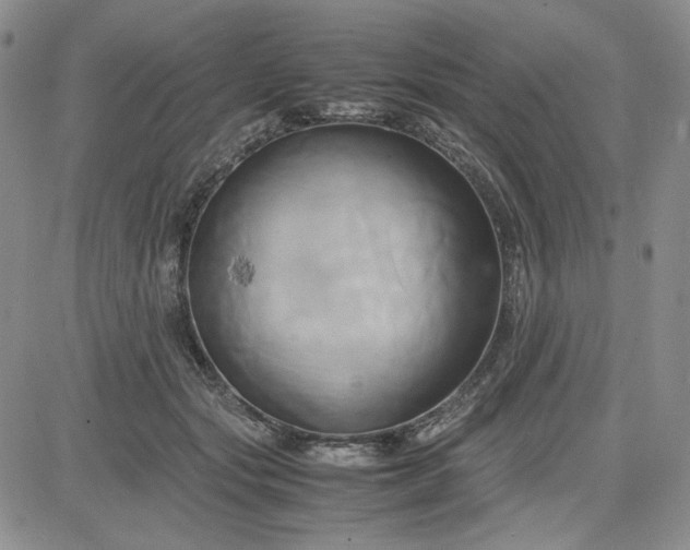 X0000083620557200702260956