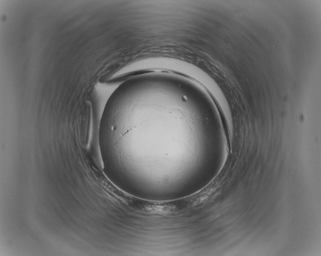 X0000083620558200702260956