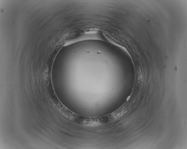 X0000083620559200702260956