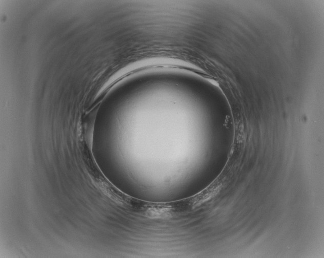 X0000083620560200702260956