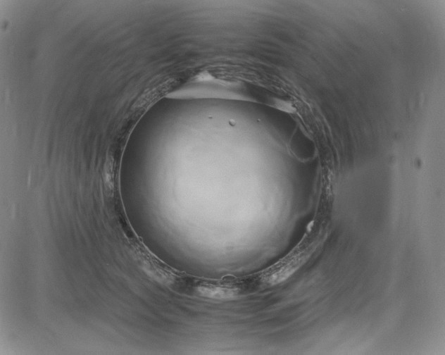 X0000083620561200702260956