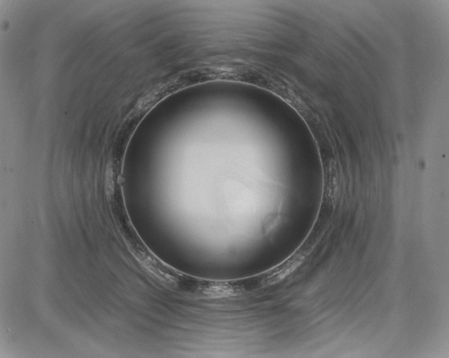 X0000083620562200702260956