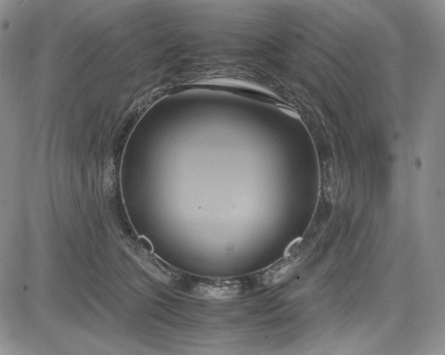 X0000083620563200702260956