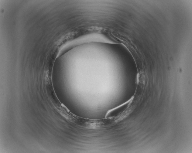 X0000083620564200702260956