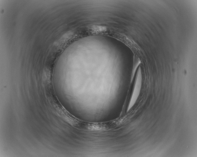 X0000083620565200702260956