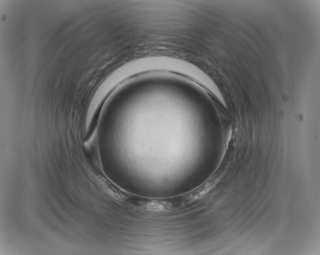 X0000083620566200702260956