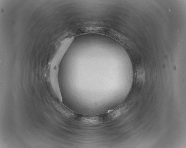 X0000083620567200702260956