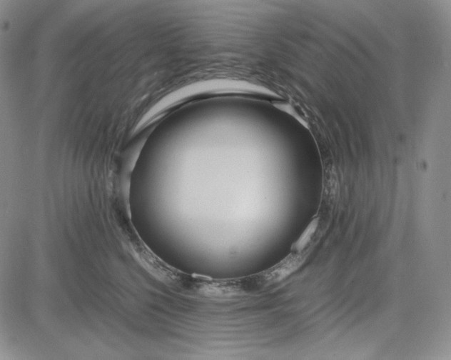 X0000083620568200702260956