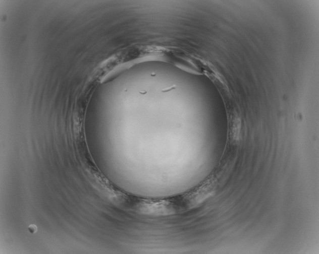 X0000083620569200702260956