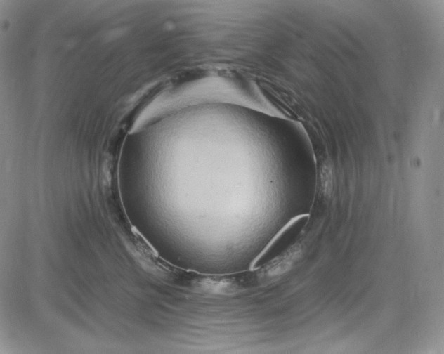 X0000083620570200702260956