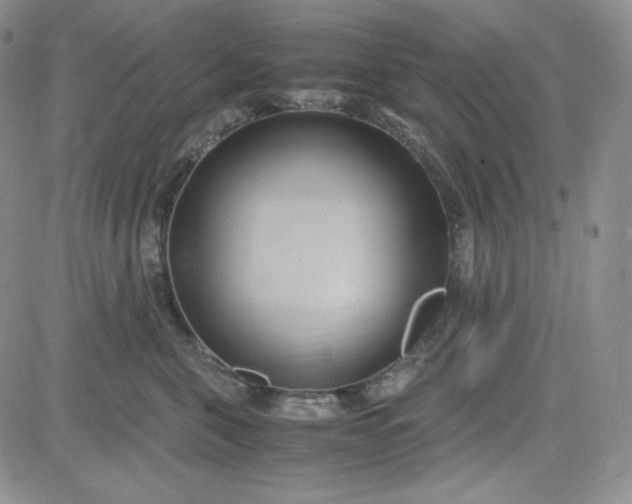 X0000083620571200702260956