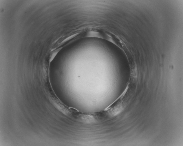 X0000083620572200702260956