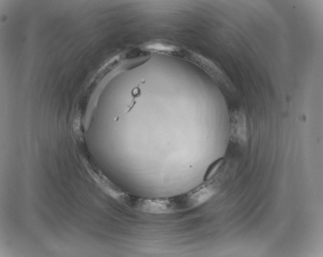 X0000083620573200702260956