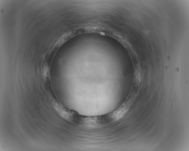 X0000083620574200702260956