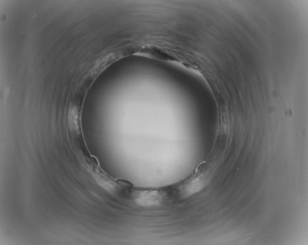 X0000083620575200702260956