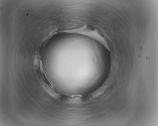 X0000083620576200702260956