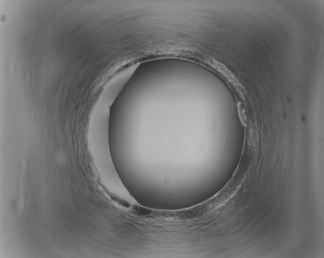 X0000083620577200702260956