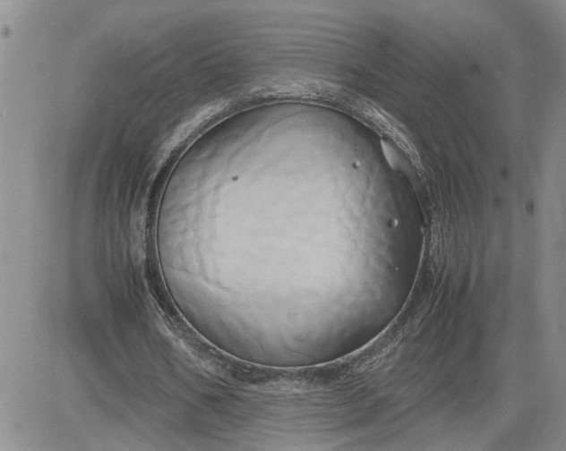 X0000083620578200702260956