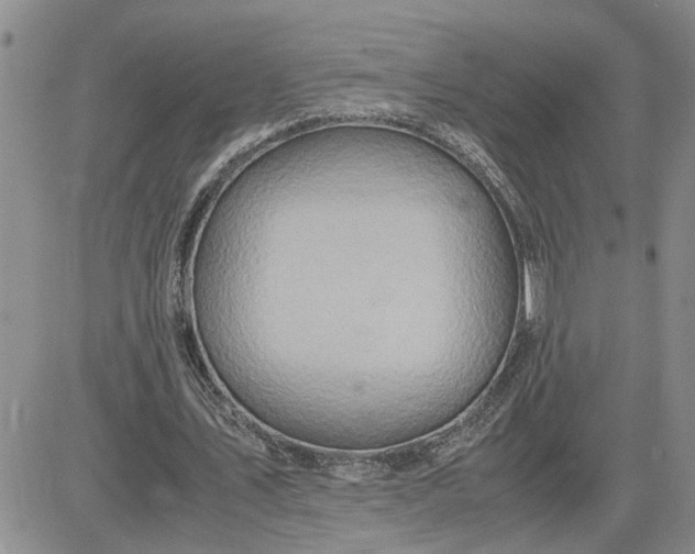 X0000083620579200702260956