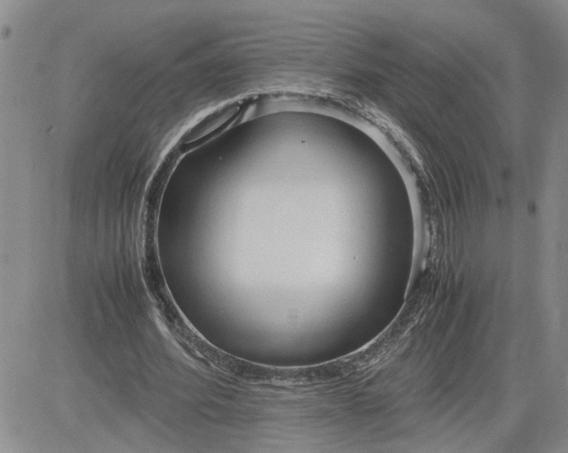 X0000083620580200702260956