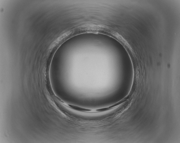 X0000083620581200702260956