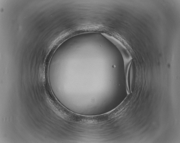 X0000083620582200702260956