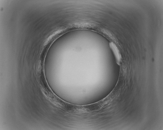 X0000083620583200702260956